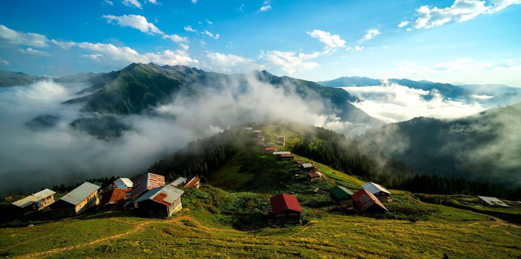 Pegasus Airlines Rize Office